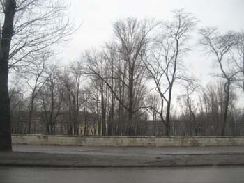 S_Pb_2009 (60)